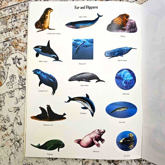 Set of 2 Children's Sticker Books. "Slimy & Scaly" and "Wet & Wild" . Softcover. - Picture 5 of 16